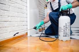 Best Fumigation Services  in Rolling Hills, CA